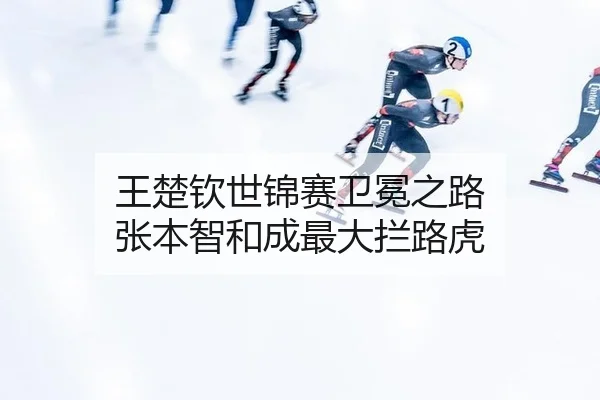 wang-chu-qin-shi-jin-sai-wei-mian-zhi-lu-zhang-ben-zhi-he-cheng-zui-da-lan-lu-hu-2-614.jpg